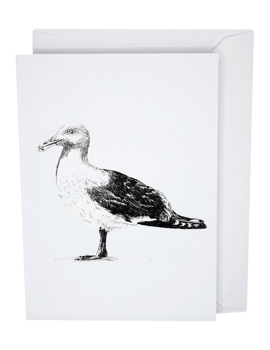 Seagull Greeting Card