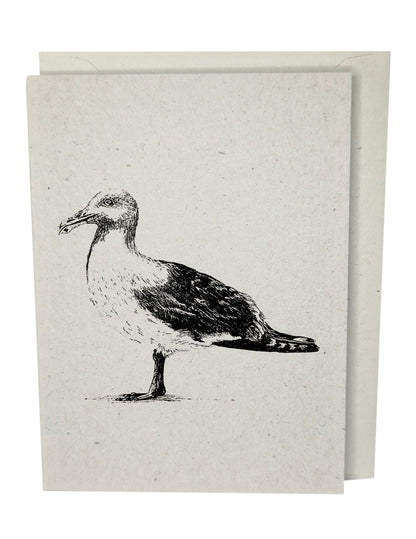 Seagull Greeting Card