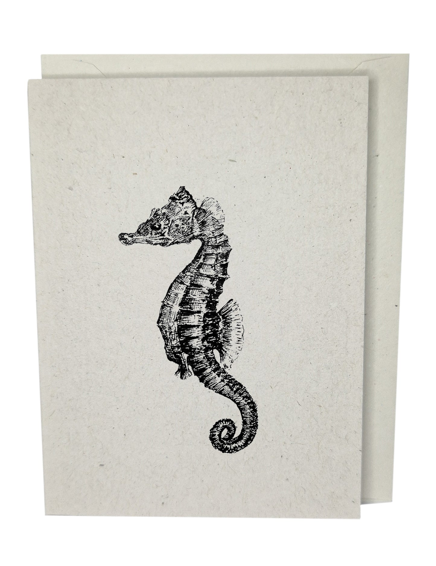 Seahorse Greeting Card