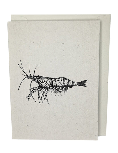 Shrimp Greeting Card