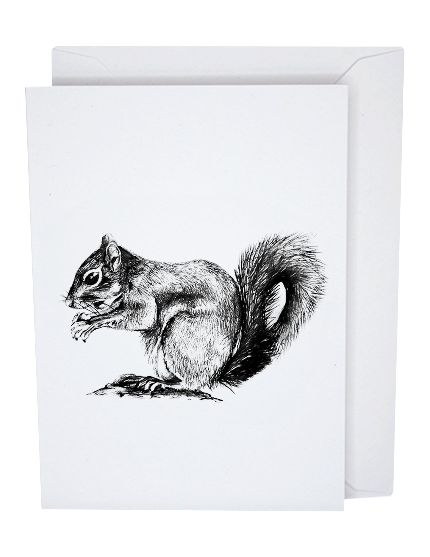 Squirrel Greeting Card