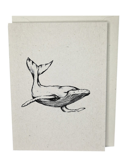 Whale Greeting Card